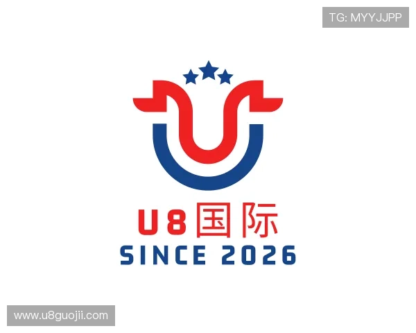 洞悉U8国际