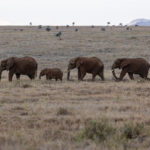 3d开奖结果双色球开奖app官方版免费下载 9qt0nxe3tv