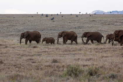 3d开奖结果双色球开奖app官方版免费下载