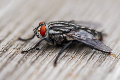 2017年国王杯决赛巅峰对决直播全纪录