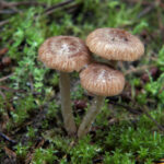 3D开奖结果最新公布,中奖号码全面揭晓 ei2sqol2x4