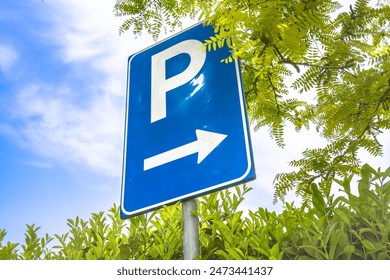 2017年乒乓球赛事精彩直播全纪录