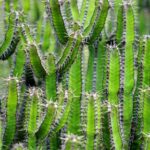 2017年NBA选秀大会全程视频直播高清在线观看 lafbh49