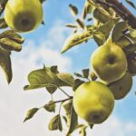 3d开奖结果开奖助手实时更新与专业分析 uoel68f4